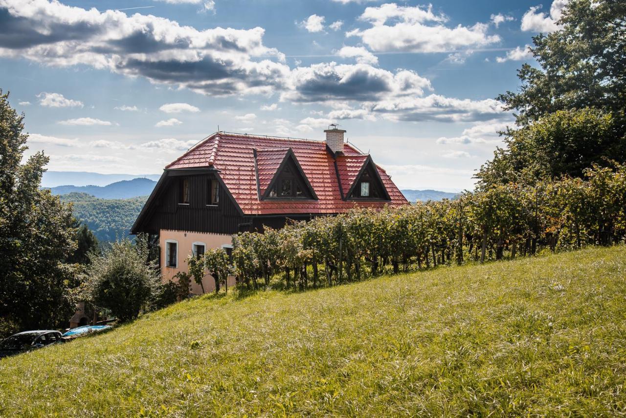 Authentic Countryside Villa With Hot Tub Veliki Kamen Εξωτερικό φωτογραφία